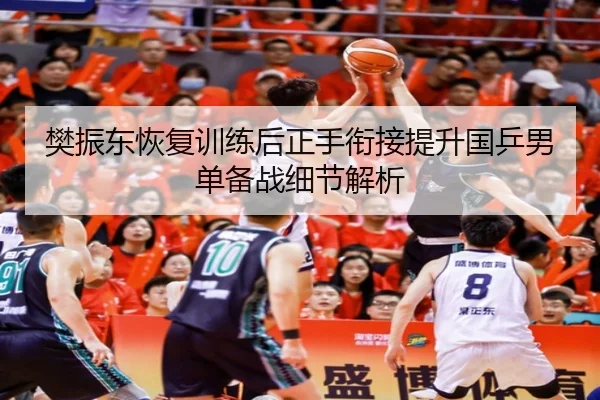 樊振东恢复训练后正手衔接提升国乒男单备战细节解析